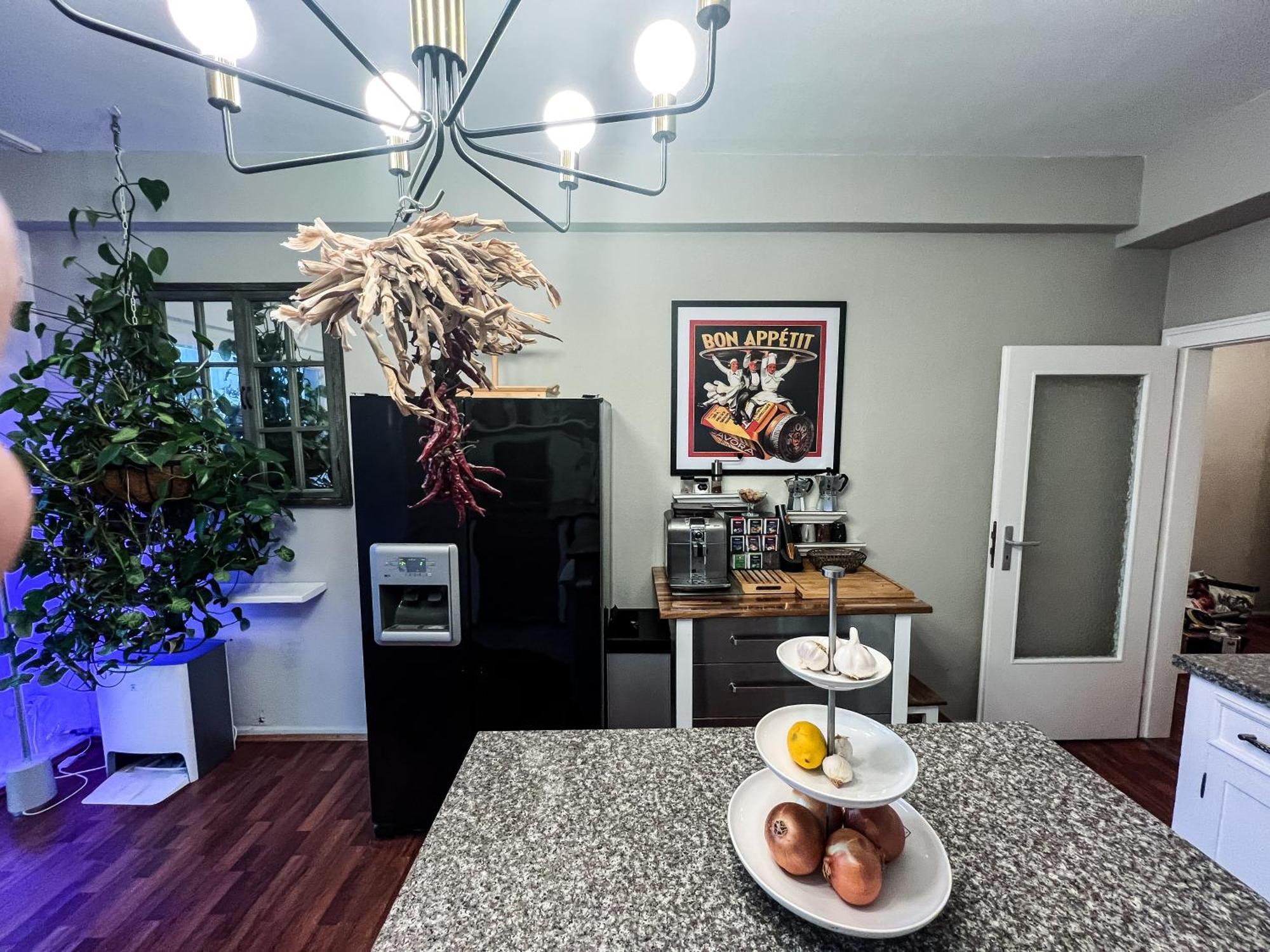 Big, Central And Charming Apartment On Schaafenstrasse 科隆 外观 照片
